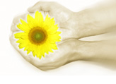 Flower Gift